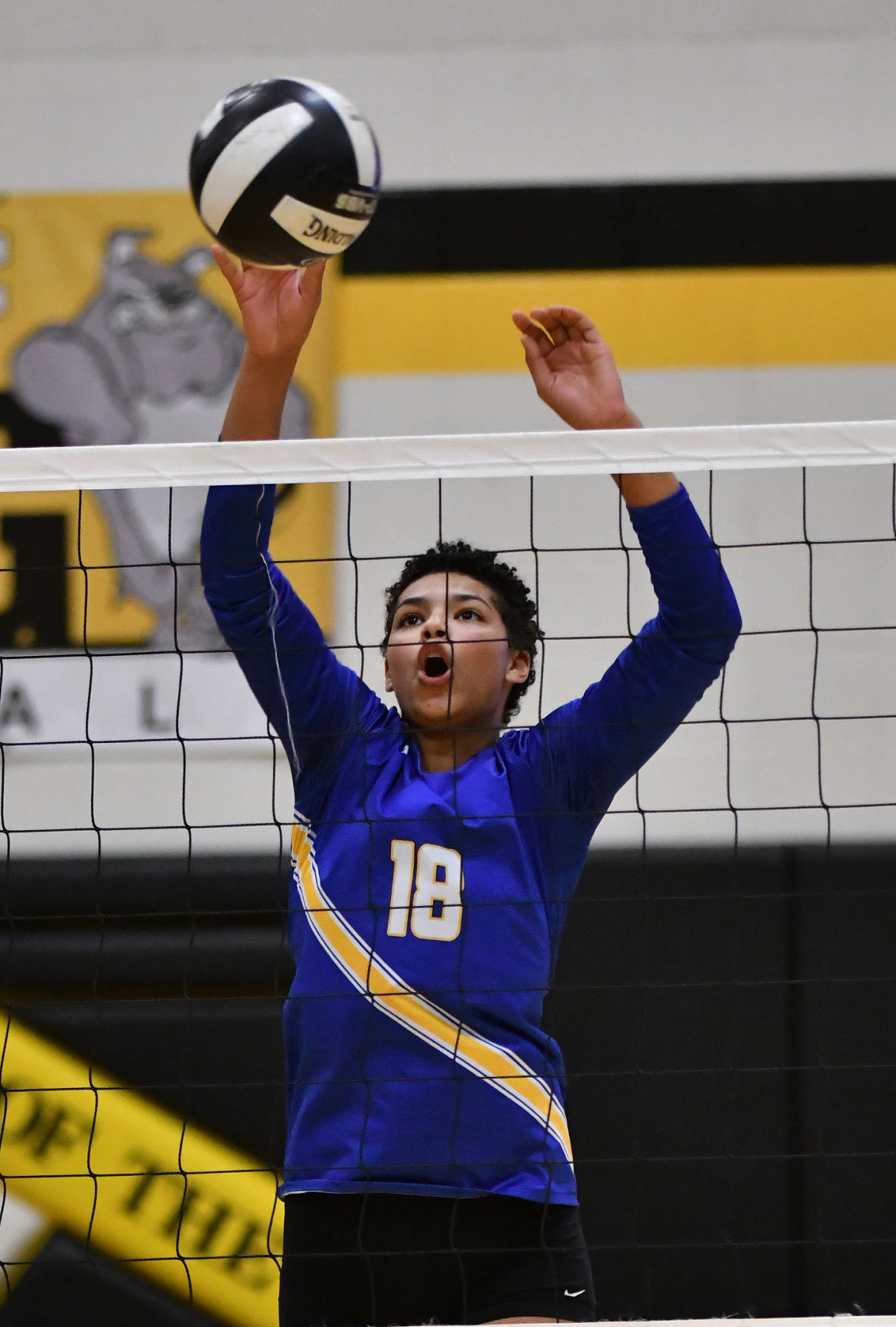 Davenport North vs Bettendorf volleyball